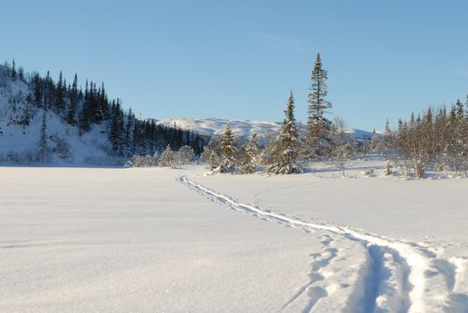 skiing view