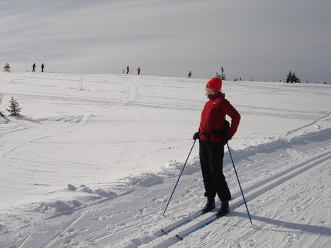skiing view