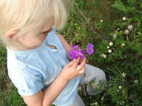 little girl picking flower