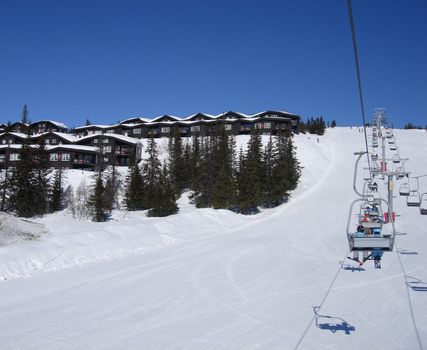 skiing view