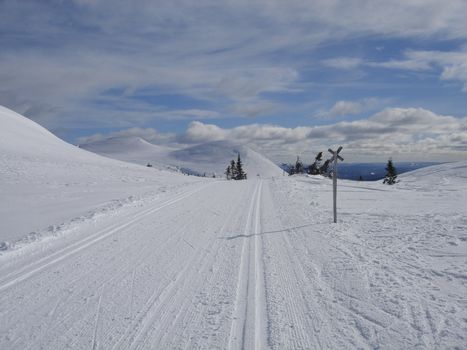 skiing view