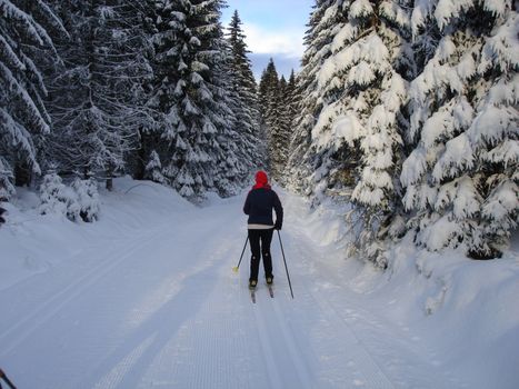 skiing view