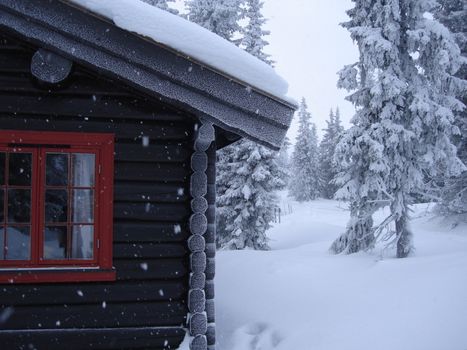 cabin