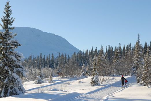 skiing view