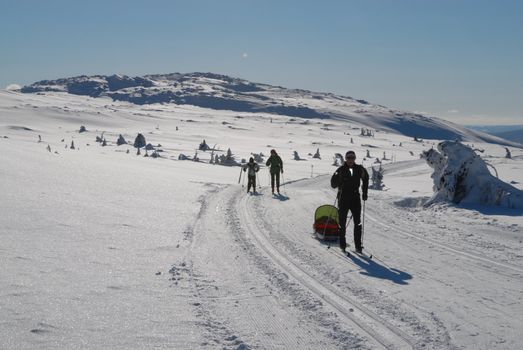 skiing view