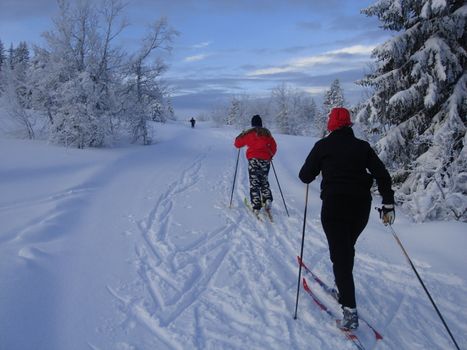 skiing view
