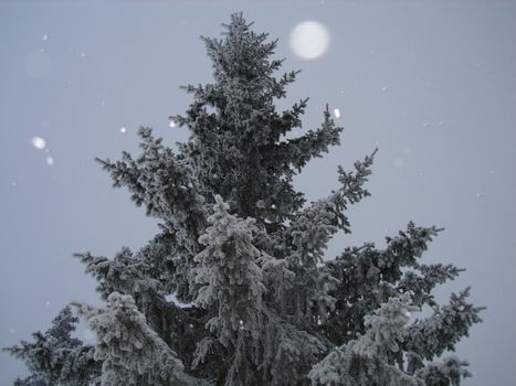 skiing view
