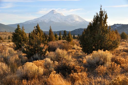 Mount Shasta in the Fall 