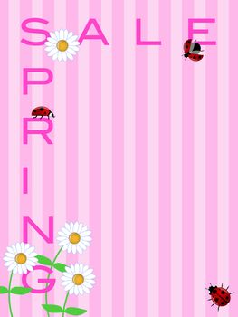 Spring Season Sale Sign with Daisies Flowers and Ladybugs Illustration