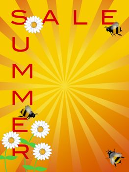 Summer Season Sale Sign with Daisies Flowers and Bumble Bees Illustration