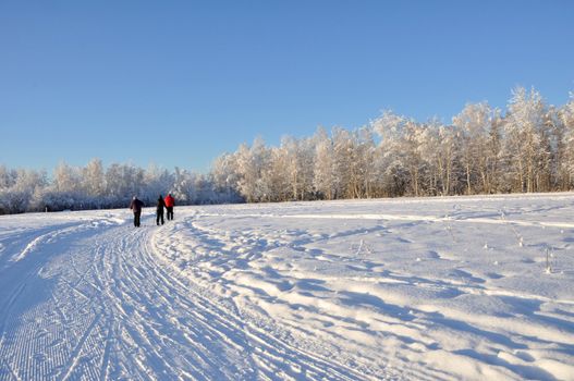 Multi-Use Recreation Trail during Alaska Winter