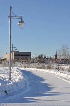 City Park Walking Path in Winter