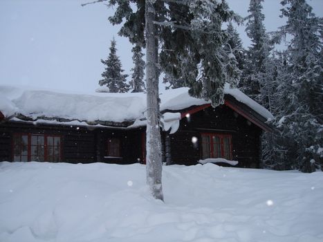 skiing view