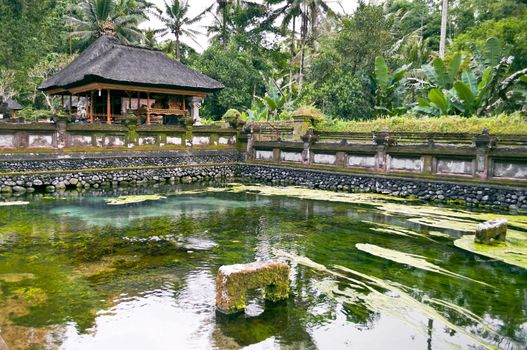 Green Pond in Ubud temple site in Bali Indonesia