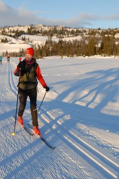 skiing view