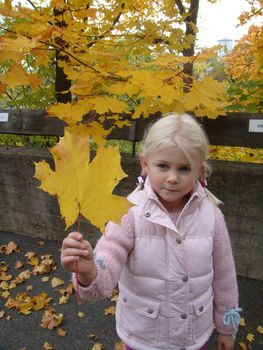 girl with yellow maple