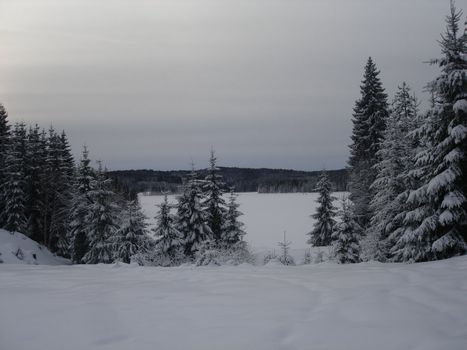 skiing view