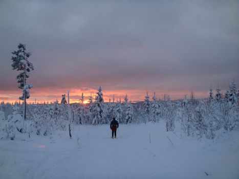 skiing view