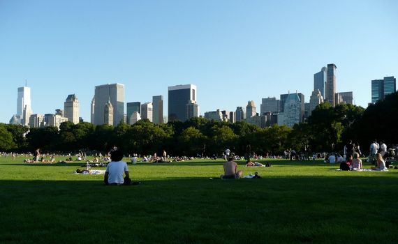 Central park in summer