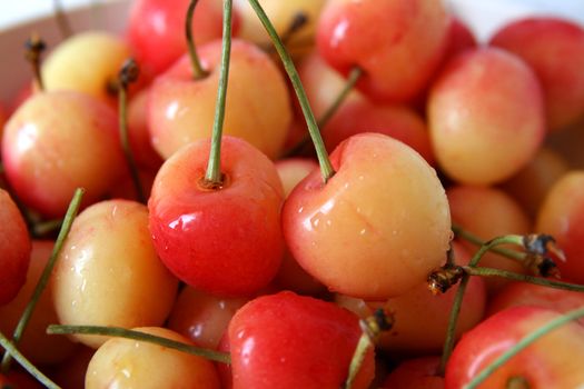 red and yellow rainier cherries