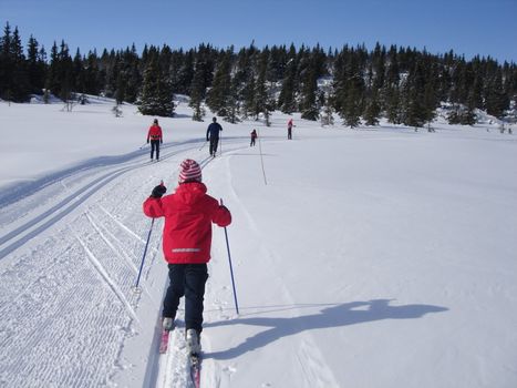 skiing view