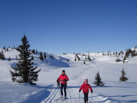 skiing view