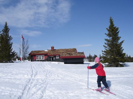 skiing view