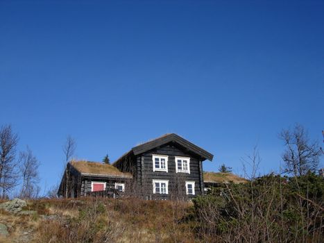 black wooden house