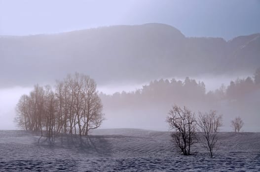 Morning mist and a winter landscape