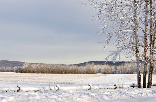 Historic Alaska Dairy Farm in Winter