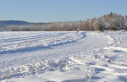 Multi-use Trail through Boreal Forest during winter in Alaska 