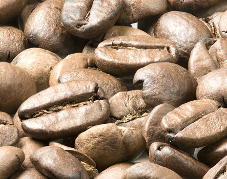 Roasted coffee beans ready for espresso machine