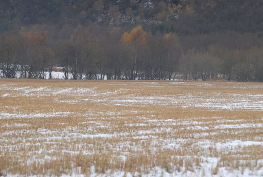 farm field covered by snow