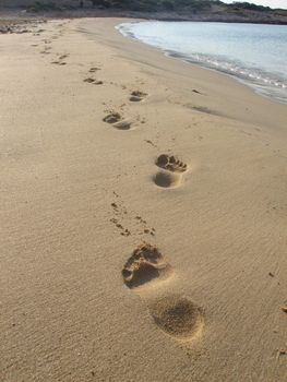 beautiful footprints on golden sand of greece  islands                      