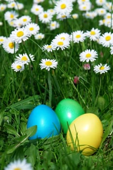 colorful Easter egg in the fresh  spring meadow