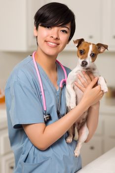 Smiling Attractive Mixed Race Veterinarian Doctor or Nurse with Puppy in an Office or Laboratory Setting.