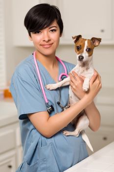 Smiling Attractive Mixed Race Veterinarian Doctor or Nurse with Puppy in an Office or Laboratory Setting.