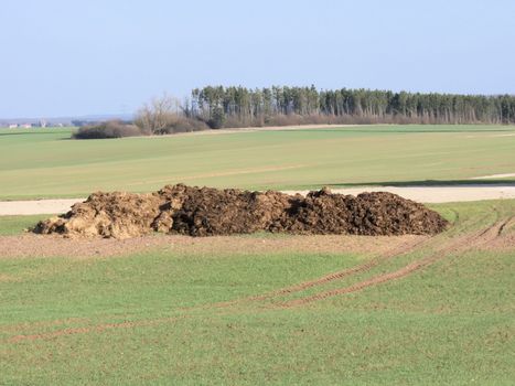 the manure in the fields