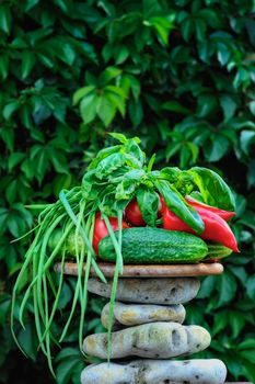 Fresh vegetables. Tomato, red pepper, cucumber, green onions