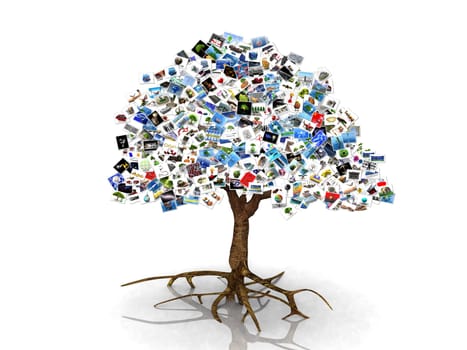 a tree in pictures on a white background