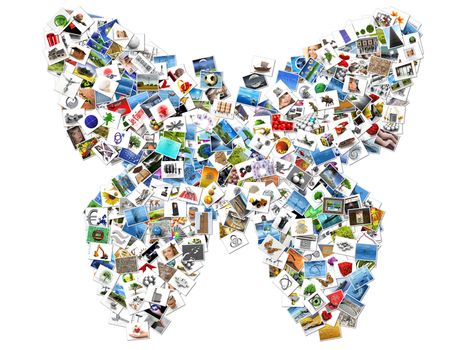 a butterfly in pictures on a white background