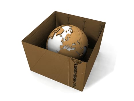 the  transport carton and the earth