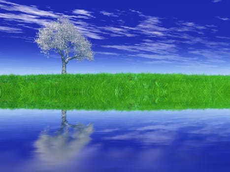 the tree, the meadow and water
