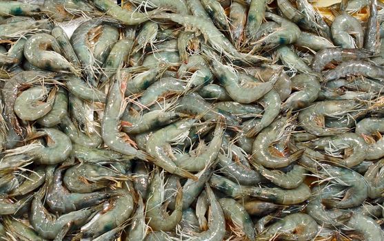 Shrimps at seafood market