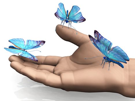 the beautiful butterfly in the hand
