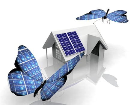 the solar cell butterfly