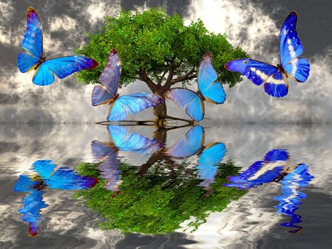 the beautiful butterfly and the tree