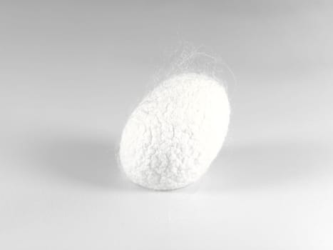 a cocoon of the silkworm