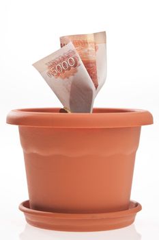 business series: growing money in the flowerpot