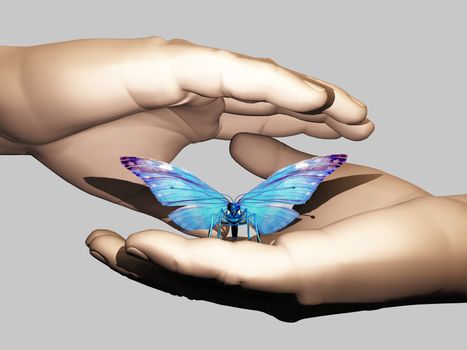 the beautiful butterfly in the hand